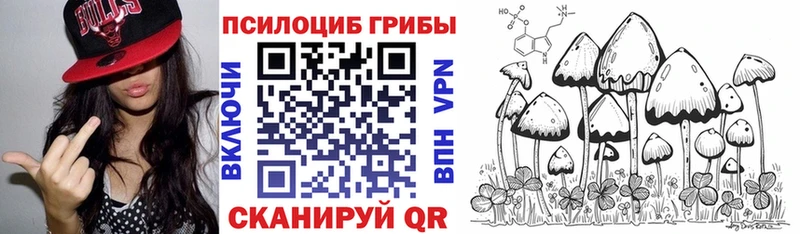 цена   мега зеркало  Галлюциногенные грибы GOLDEN TEACHER  Солнечногорск 